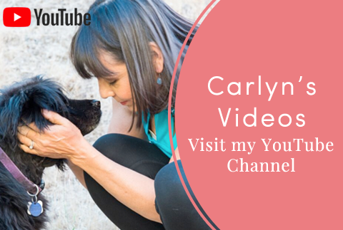 carlyns-videos