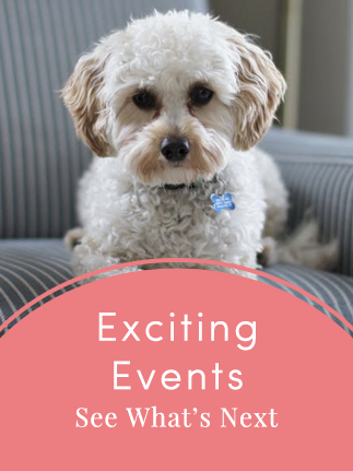 exciting-events