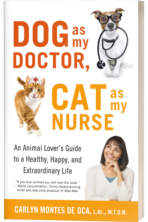 Dog as My Doctor, Cat as My Nurse
